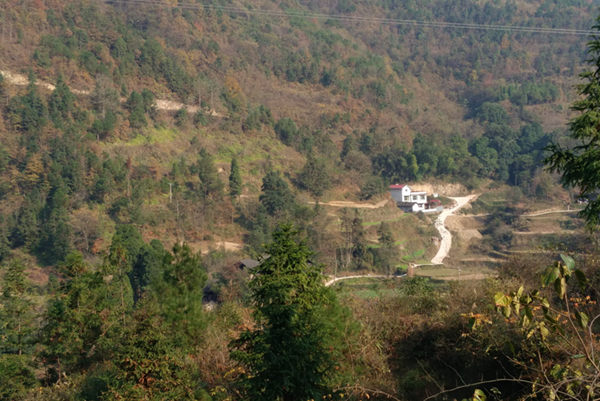 1481018500810014154.png 图片8_副本.png