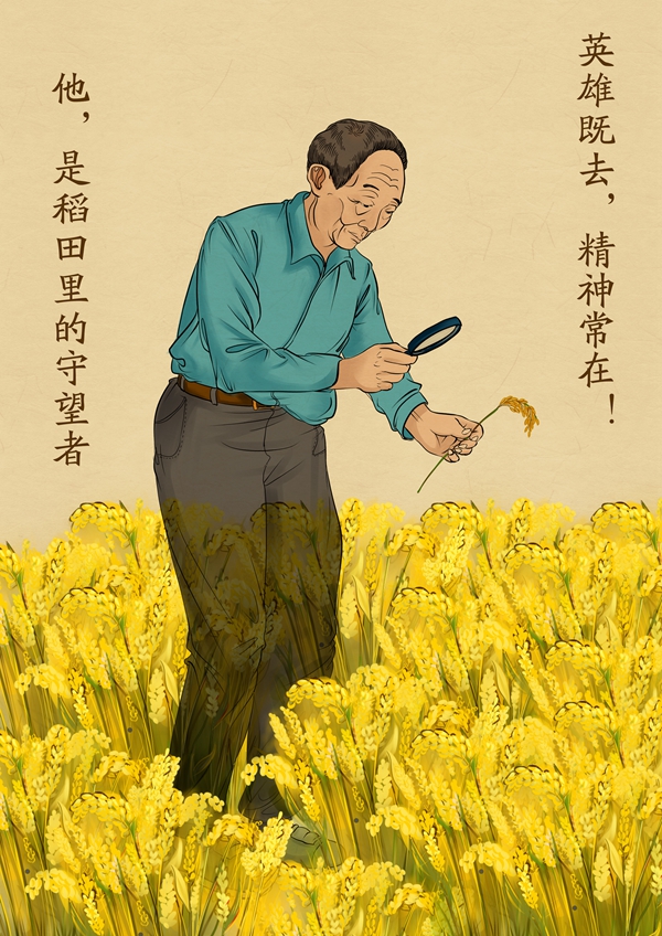 《稻田里的守望者》(插画)作者:高宁_副本.jpg 《稻田里的守望者》(插画)作者:高宁_副本.jpg